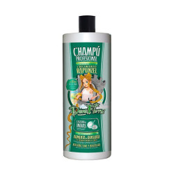 Comprar Champú Castañas De Indias