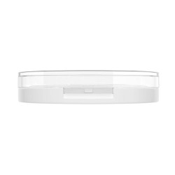Bare Focus Clarifying Finishing Powder