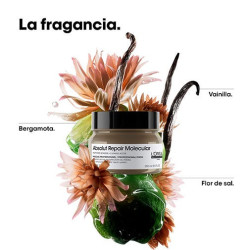 Absolut Repair Molecular