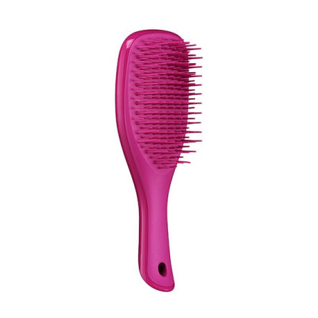 Detangling Mini Hairbrush