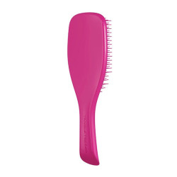 Detangling Hairbrush