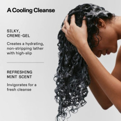 No4 Curl