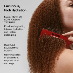 No5 Curl